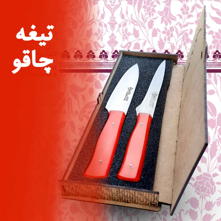 تیغه چاقو (آناتومی تیغه چاقو)